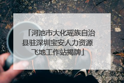 河池市大化瑶族自治县驻深圳宝安人力资源飞地工作站揭牌
